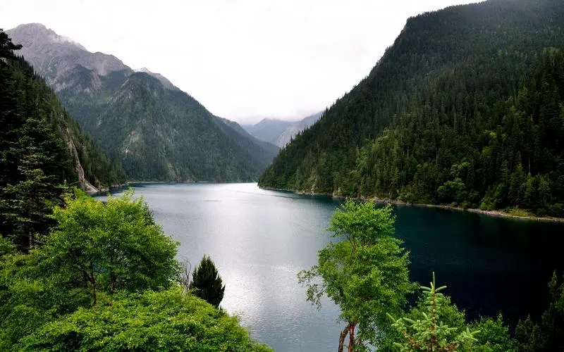 数字化数字化全自动